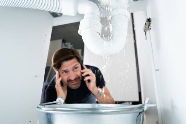Best Shower Repair Services  in Cave Springs, AR